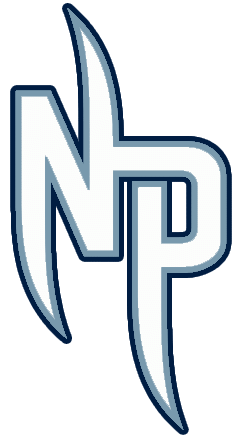 Nashville Predators 2009-2011 Alternate Logo t shirts iron on transfers